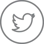 Twitter Bird SVG Icon